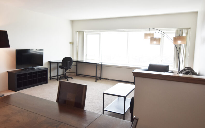 25A – Furnished South side Grand One Bedroom with Breathtaking View of Campus