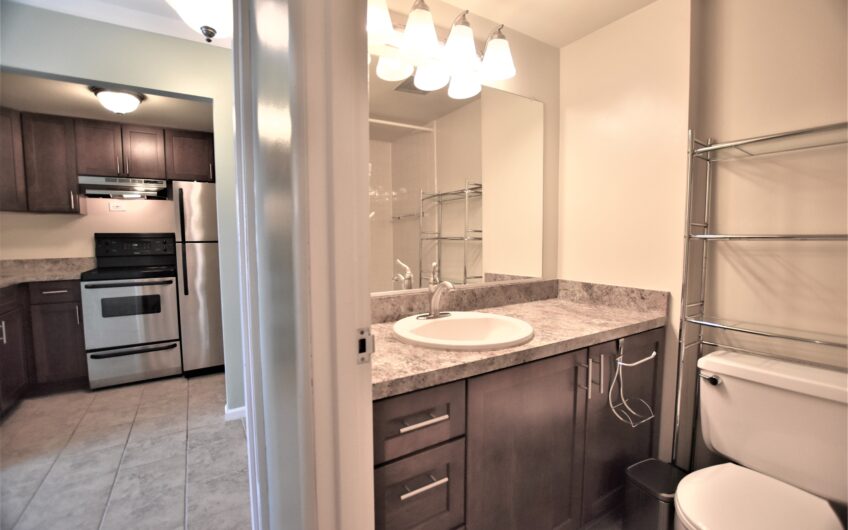 10E – Renovated Furnished 10th Floor Studio