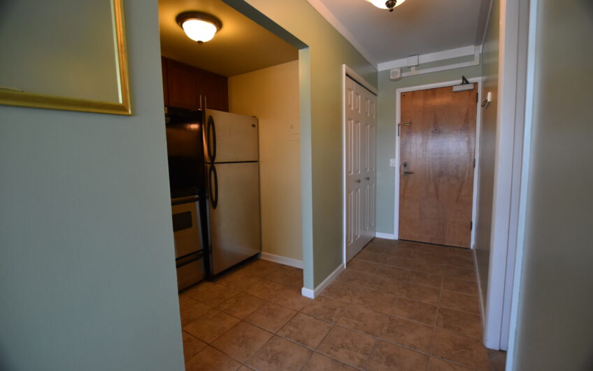 10E – Renovated Furnished 10th Floor Studio