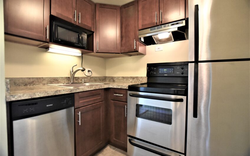 10E – Renovated Furnished 10th Floor Studio