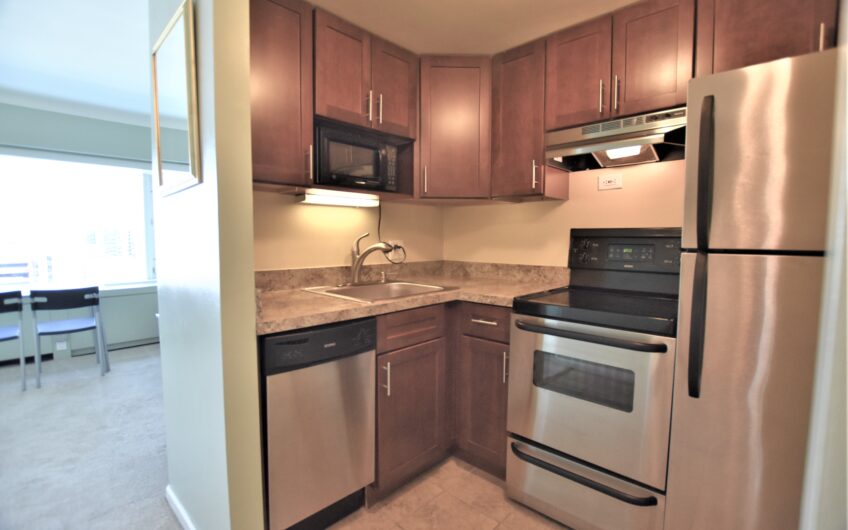 10E – Renovated Furnished 10th Floor Studio