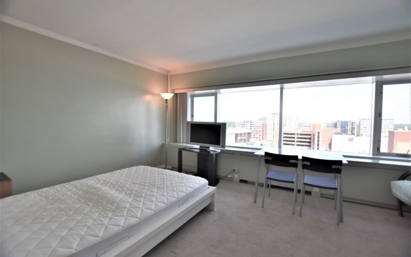 10E – Renovated Furnished 10th Floor Studio
