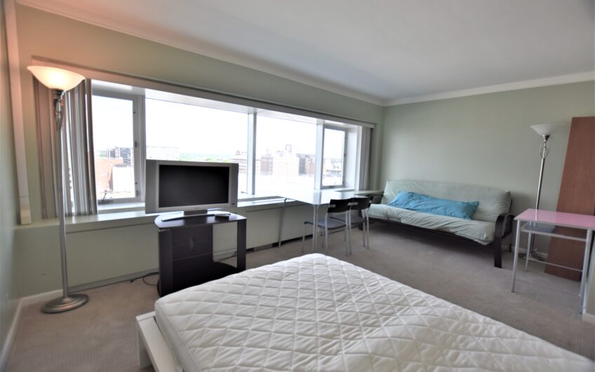 10E – Renovated Furnished 10th Floor Studio