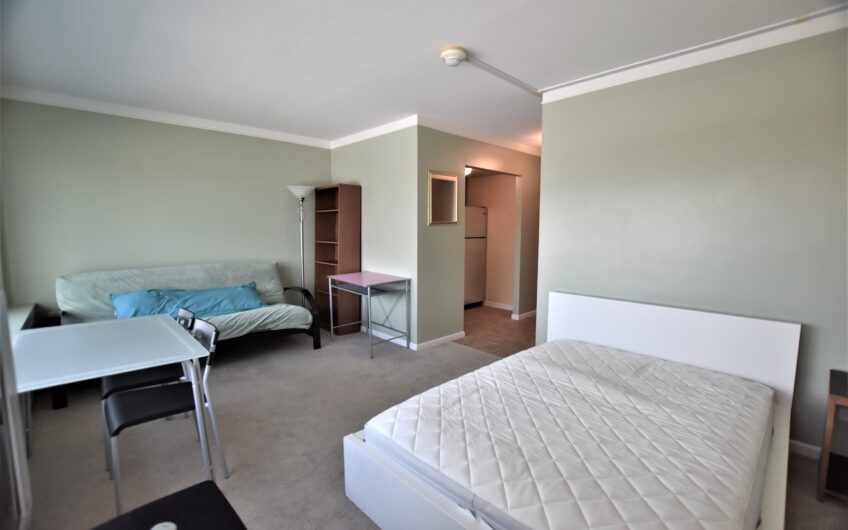 10E – Renovated Furnished 10th Floor Studio