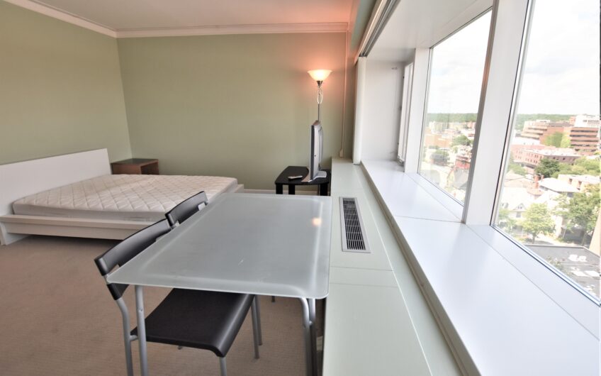10E – Renovated Furnished 10th Floor Studio