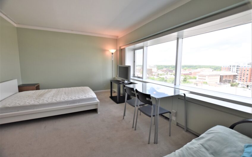 10E – Renovated Furnished 10th Floor Studio