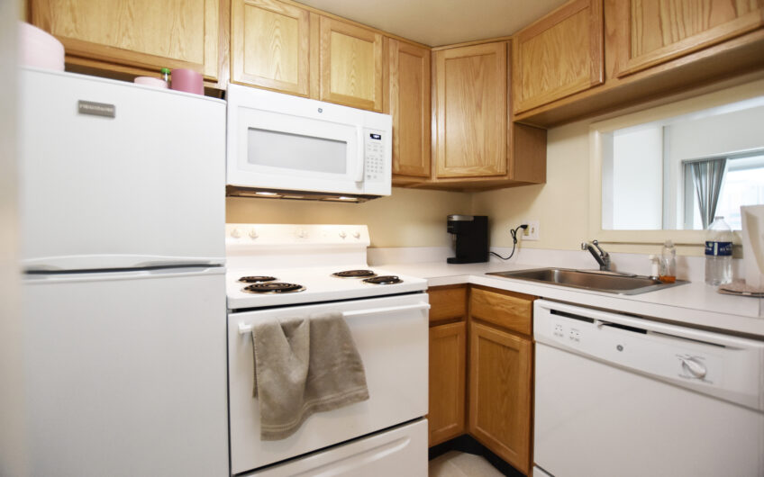 4H – Nice North Side Furnished Studio