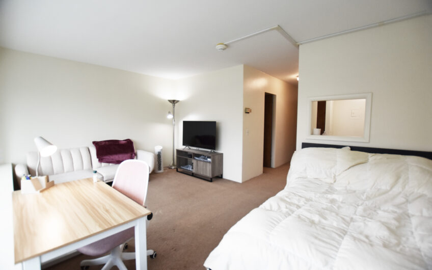 4H – Nice North Side Furnished Studio