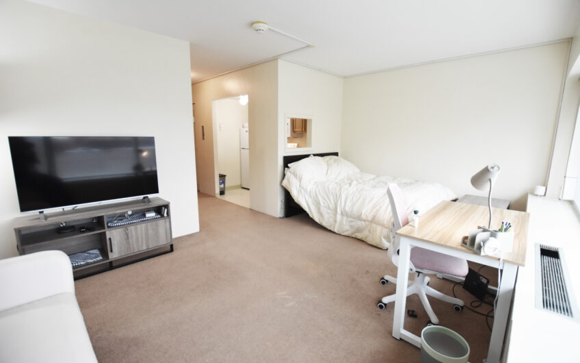 4H – Nice North Side Furnished Studio