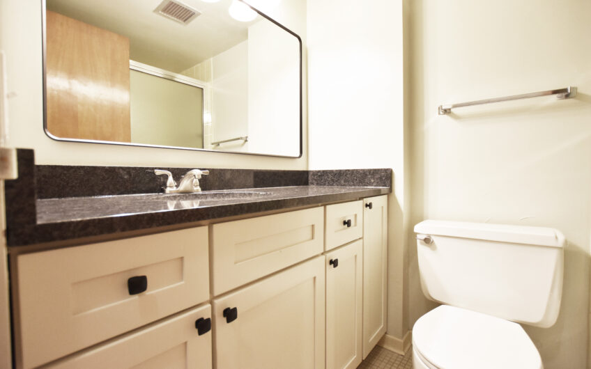 20L – Newly Renovated Unfurnished South Side Grand Studio