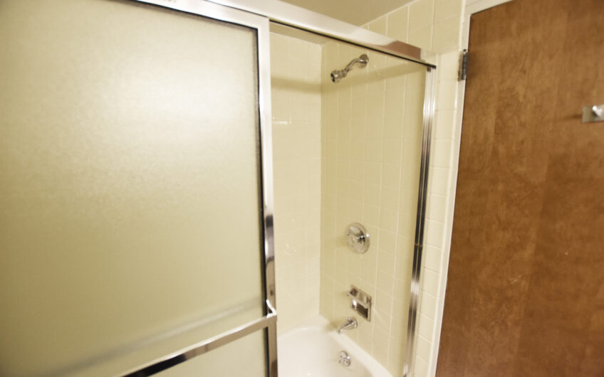 20L – Newly Renovated Unfurnished South Side Grand Studio