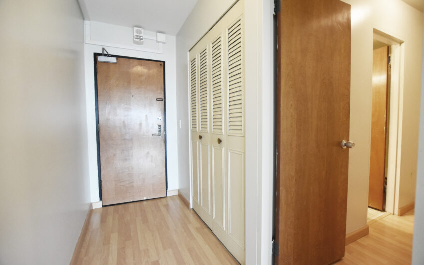 20L – Newly Renovated Unfurnished South Side Grand Studio