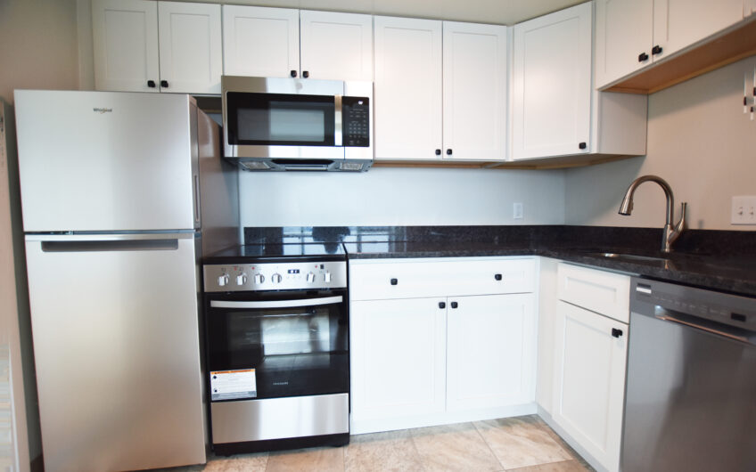 20L – Newly Renovated Unfurnished South Side Grand Studio