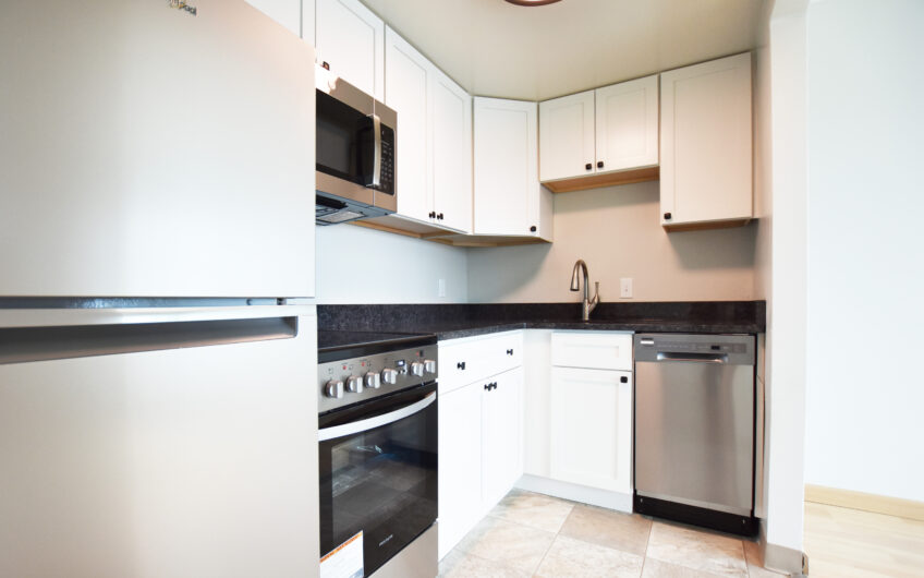 20L – Newly Renovated Unfurnished South Side Grand Studio