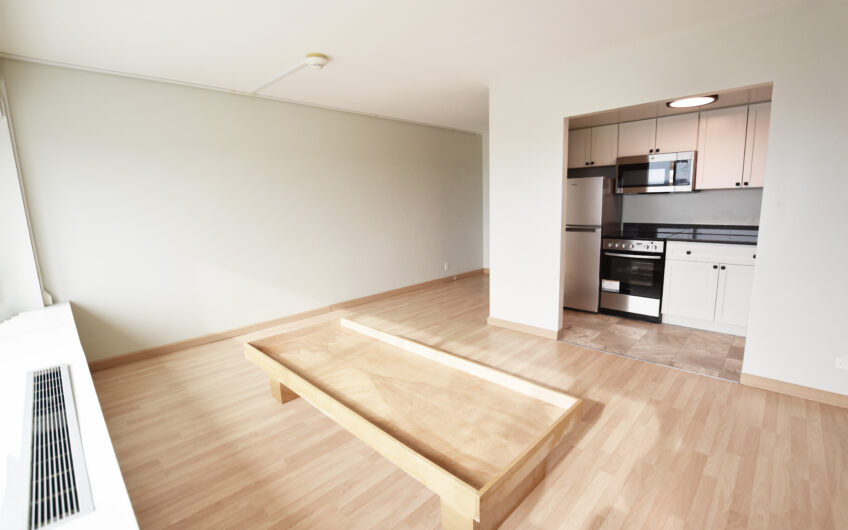 20L – Newly Renovated Unfurnished South Side Grand Studio