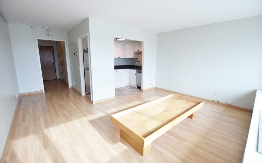 20L – Newly Renovated Unfurnished South Side Grand Studio