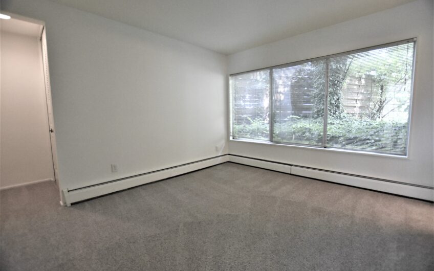 Three Bedroom 1-1/2 Bath Condo Located 3/4 Mile East of UM Campus