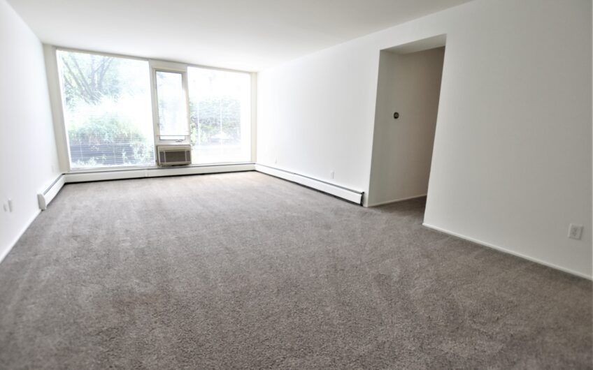 Three Bedroom 1-1/2 Bath Condo Located 3/4 Mile East of UM Campus