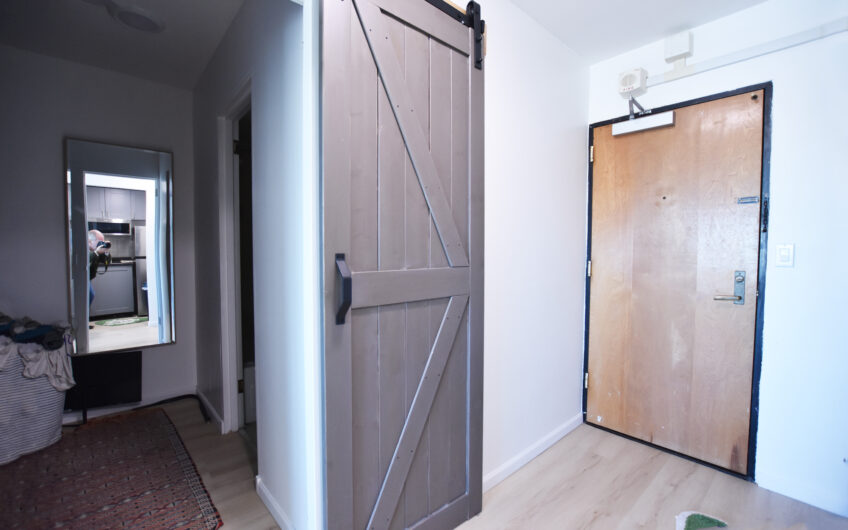 21H – Nicely Renovated Furnished North Side Studio