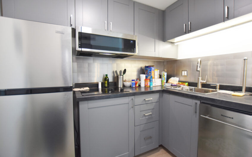 21H – Nicely Renovated Furnished North Side Studio
