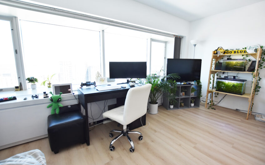 21H – Nicely Renovated Furnished North Side Studio