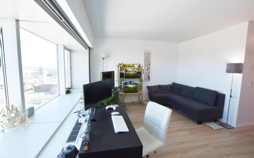 21H – Nicely Renovated Furnished North Side Studio