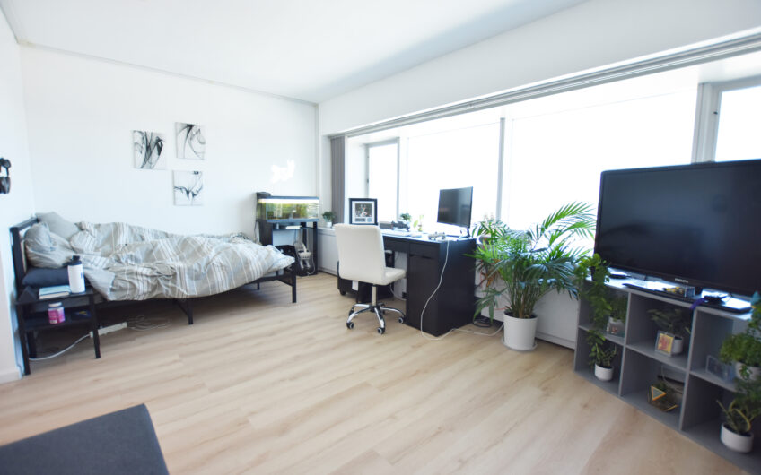 21H – Nicely Renovated Furnished North Side Studio