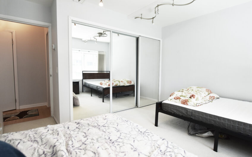 3A – Beautifully Renovated Furnished 3rd Floor Grand One Bedroom