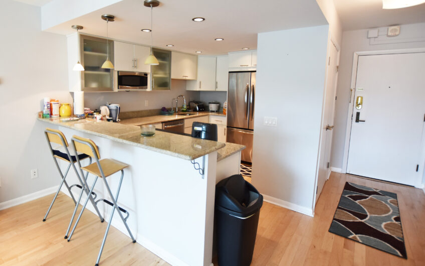 3A – Beautifully Renovated Furnished 3rd Floor Grand One Bedroom