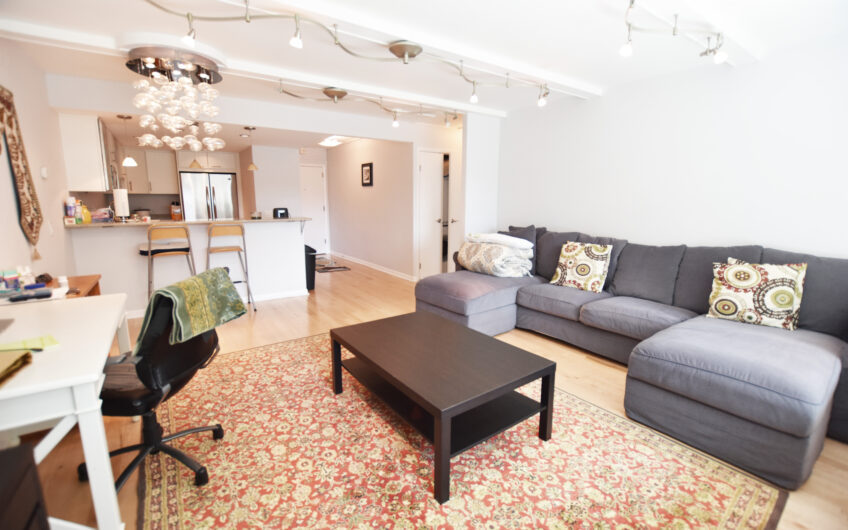 3A – Beautifully Renovated Furnished 3rd Floor Grand One Bedroom