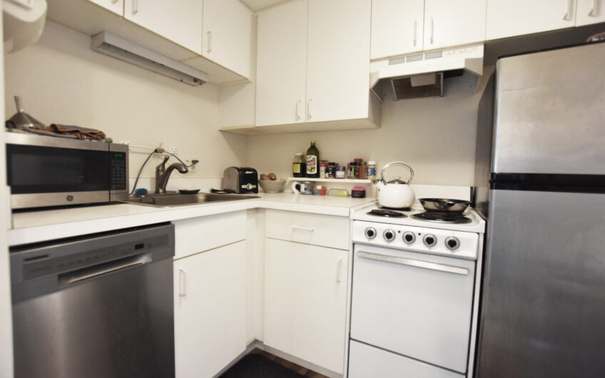 21E – North Side 21st Floor Studio with Renovated Bath
