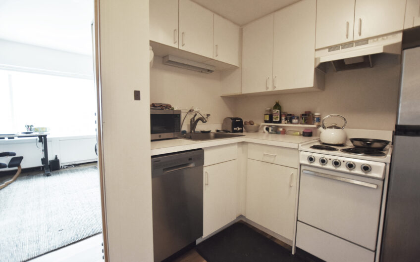 21E – North Side 21st Floor Studio with Renovated Bath