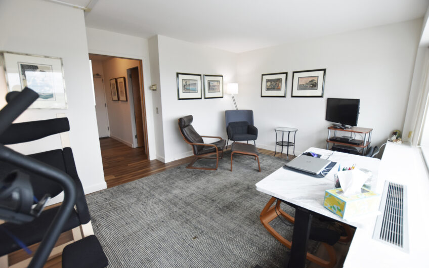 21E – North Side 21st Floor Studio with Renovated Bath