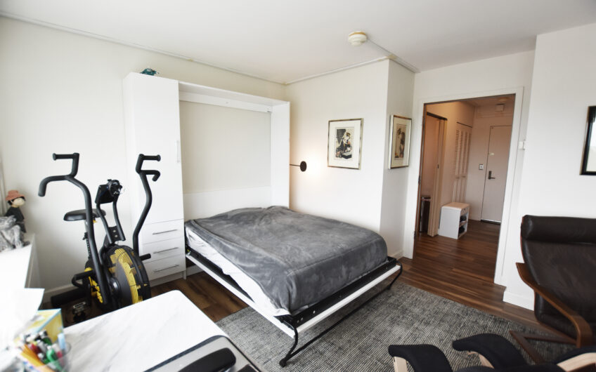 21E – North Side 21st Floor Studio with Renovated Bath