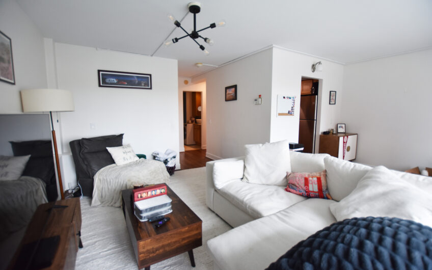 5C – Renovated Southwest Corner Large One Bedroom