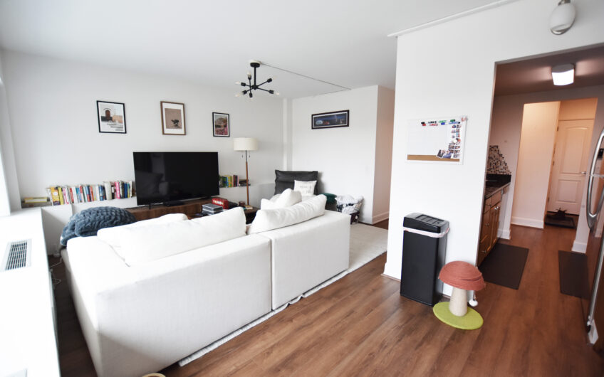 5C – Renovated Southwest Corner Large One Bedroom